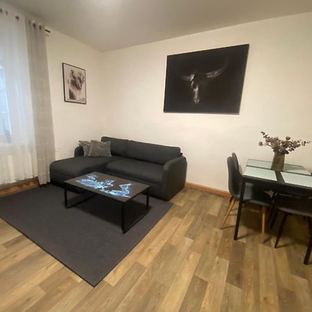 Apartmány Černý Tulipán #2 Plzeň Exteriér fotografie
