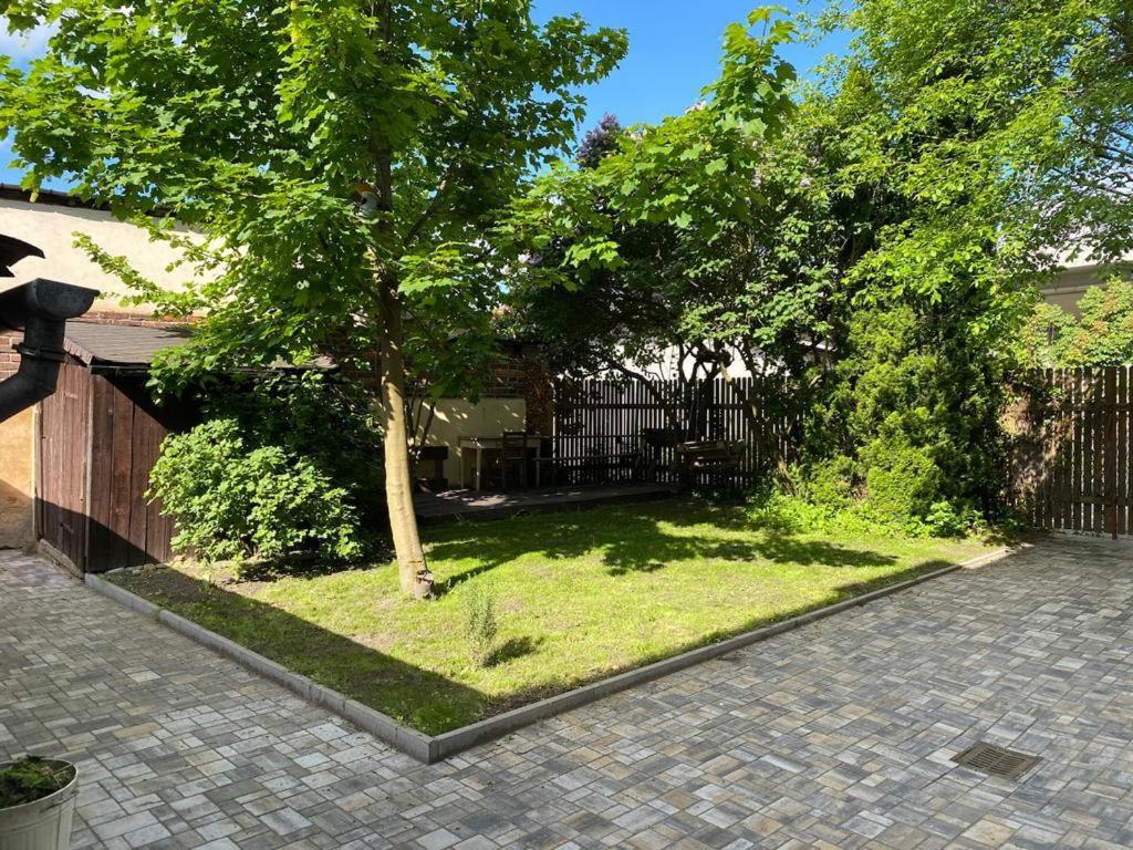 Apartmány Černý Tulipán #2 Plzeň Exteriér fotografie