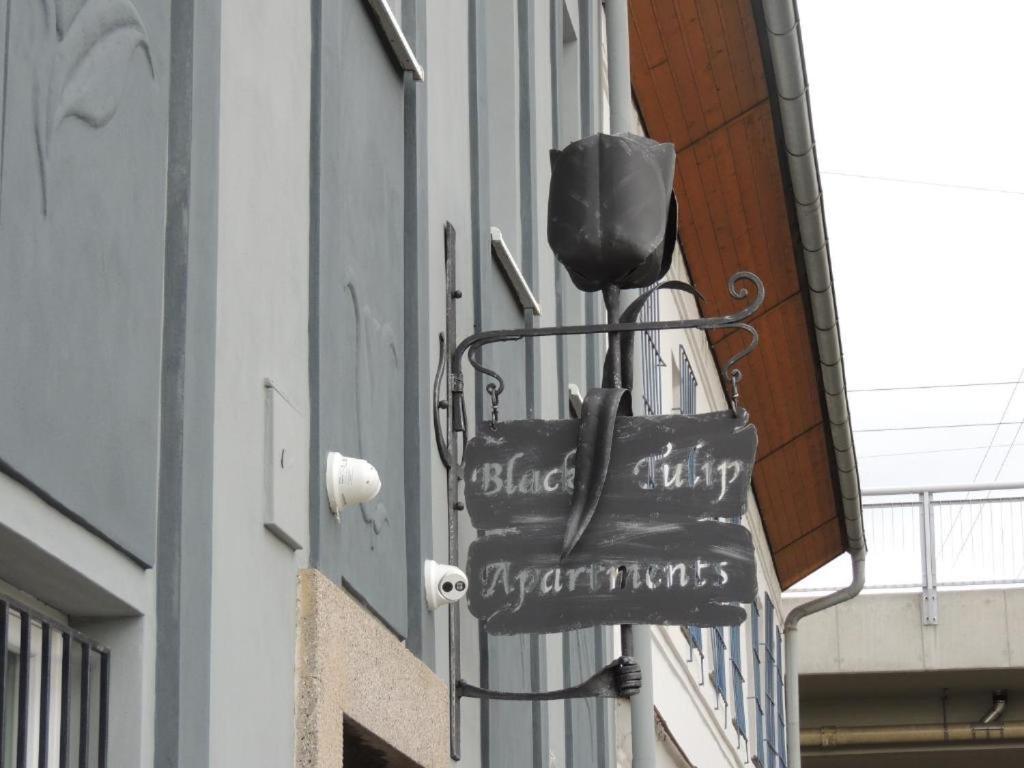 Apartmány Černý Tulipán #2 Plzeň Exteriér fotografie