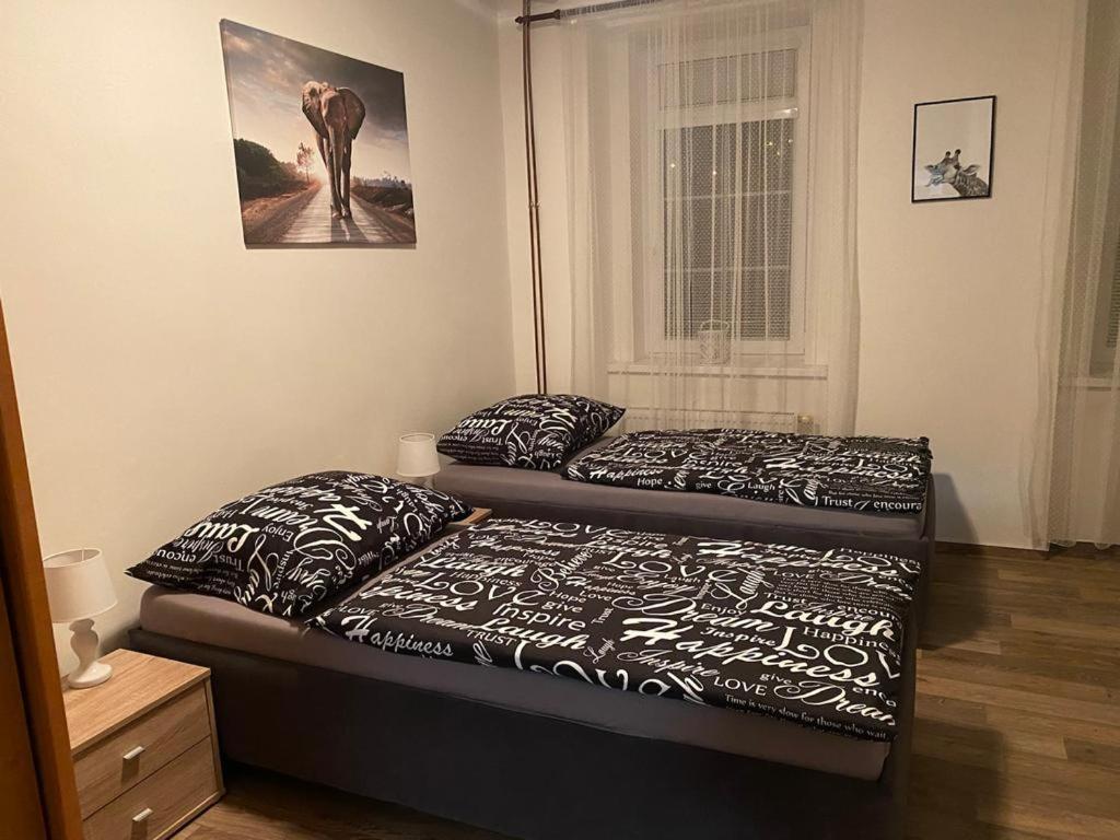 Apartmány Černý Tulipán #2 Plzeň Exteriér fotografie