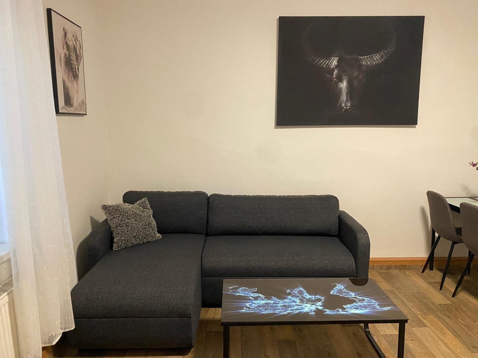 Apartmány Černý Tulipán #2 Plzeň Exteriér fotografie