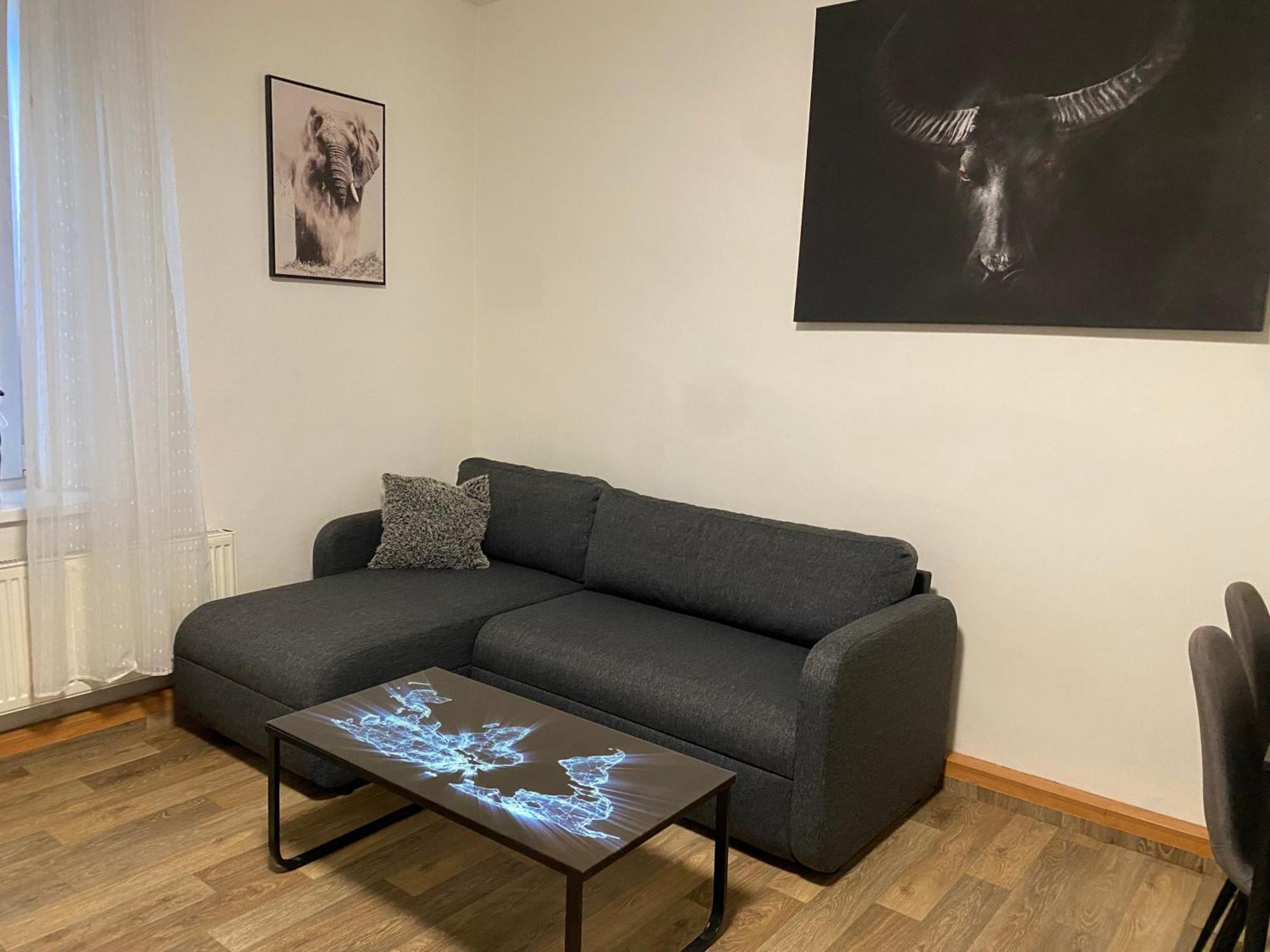 Apartmány Černý Tulipán #2 Plzeň Exteriér fotografie