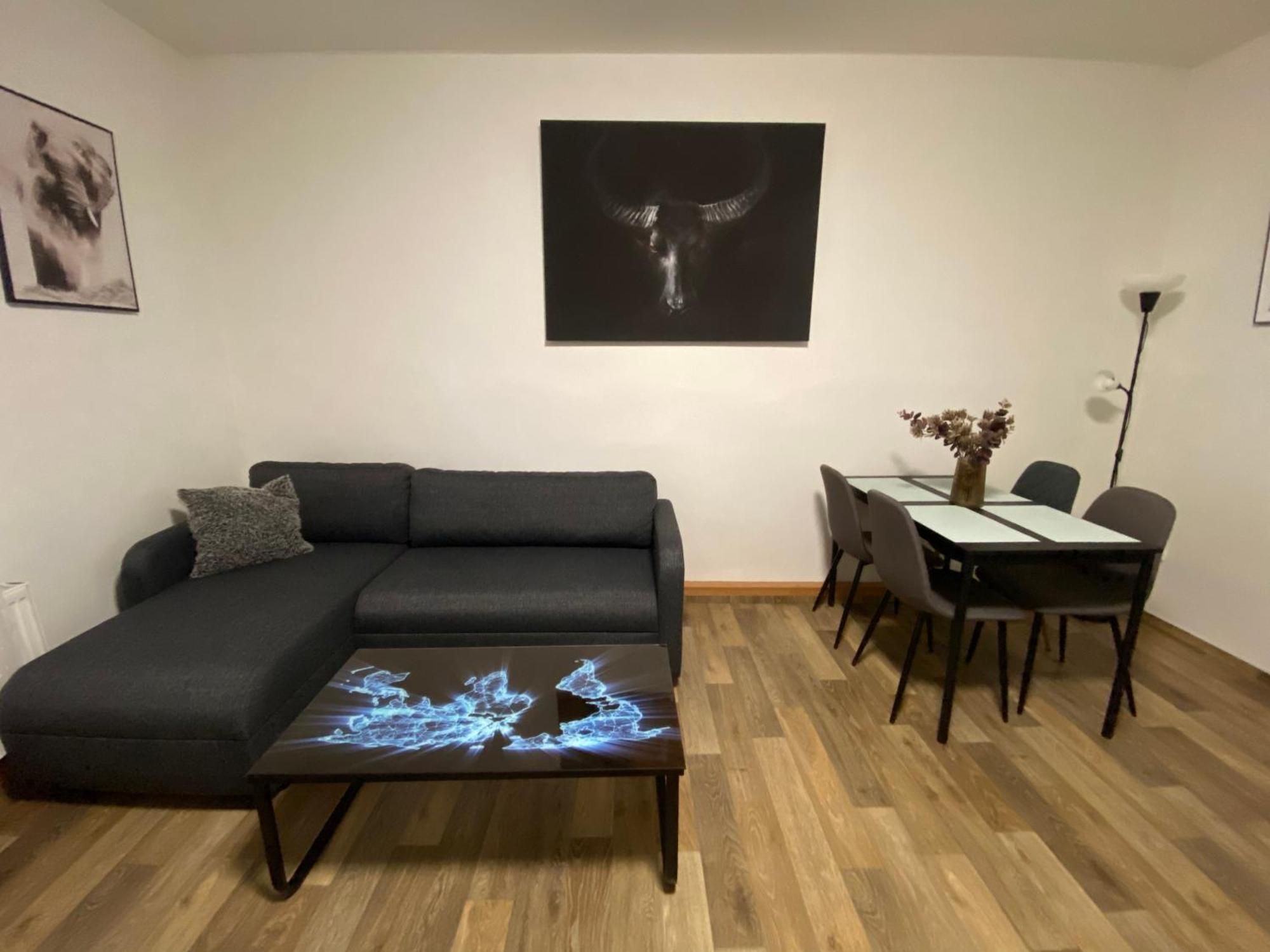 Apartmány Černý Tulipán #2 Plzeň Exteriér fotografie