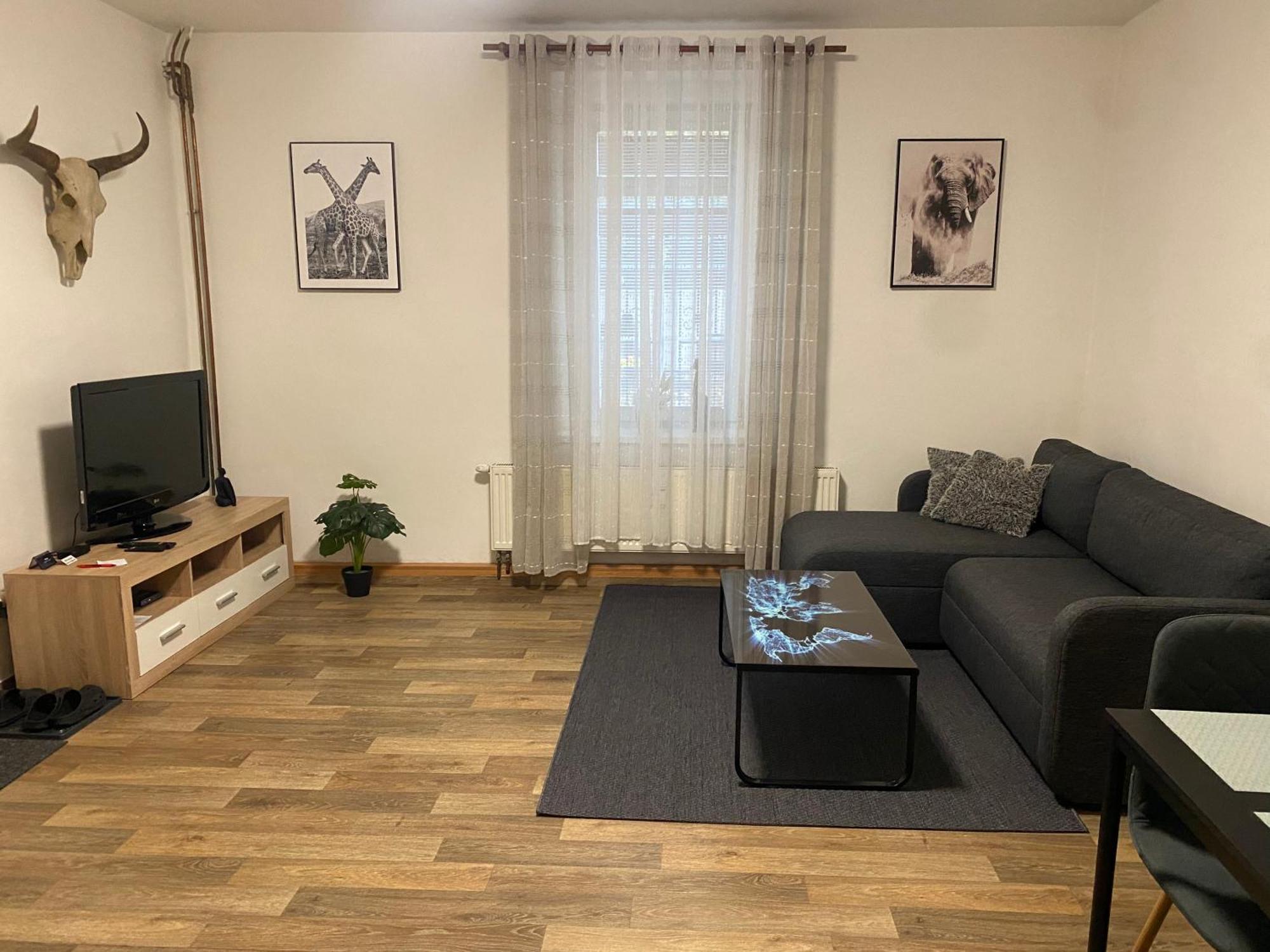 Apartmány Černý Tulipán #2 Plzeň Exteriér fotografie